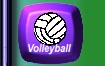 VolleyBall button